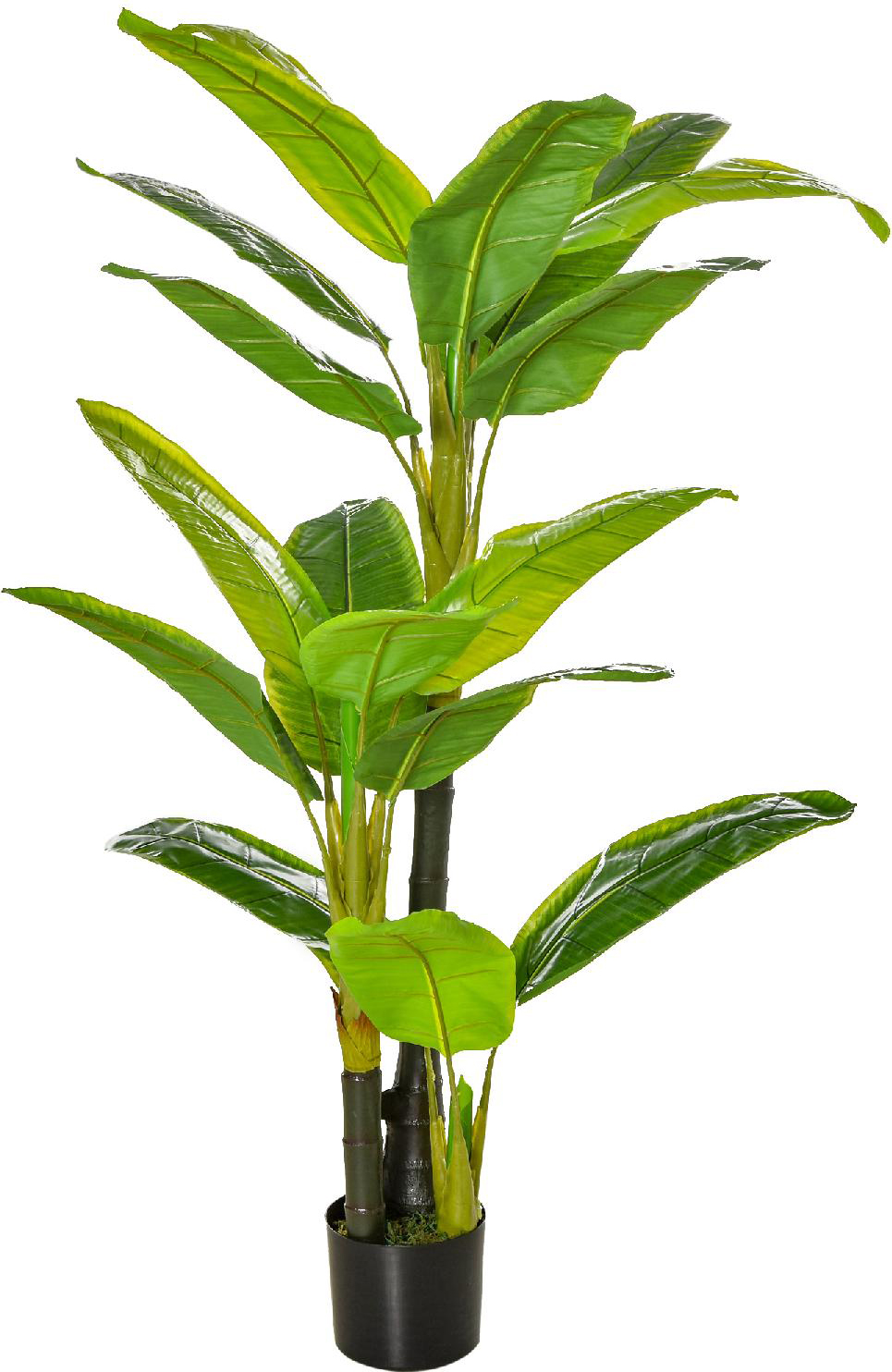 VivaGarden 439 Banano Pianta in Vaso Albero di Banano Pianta Finta 150cm