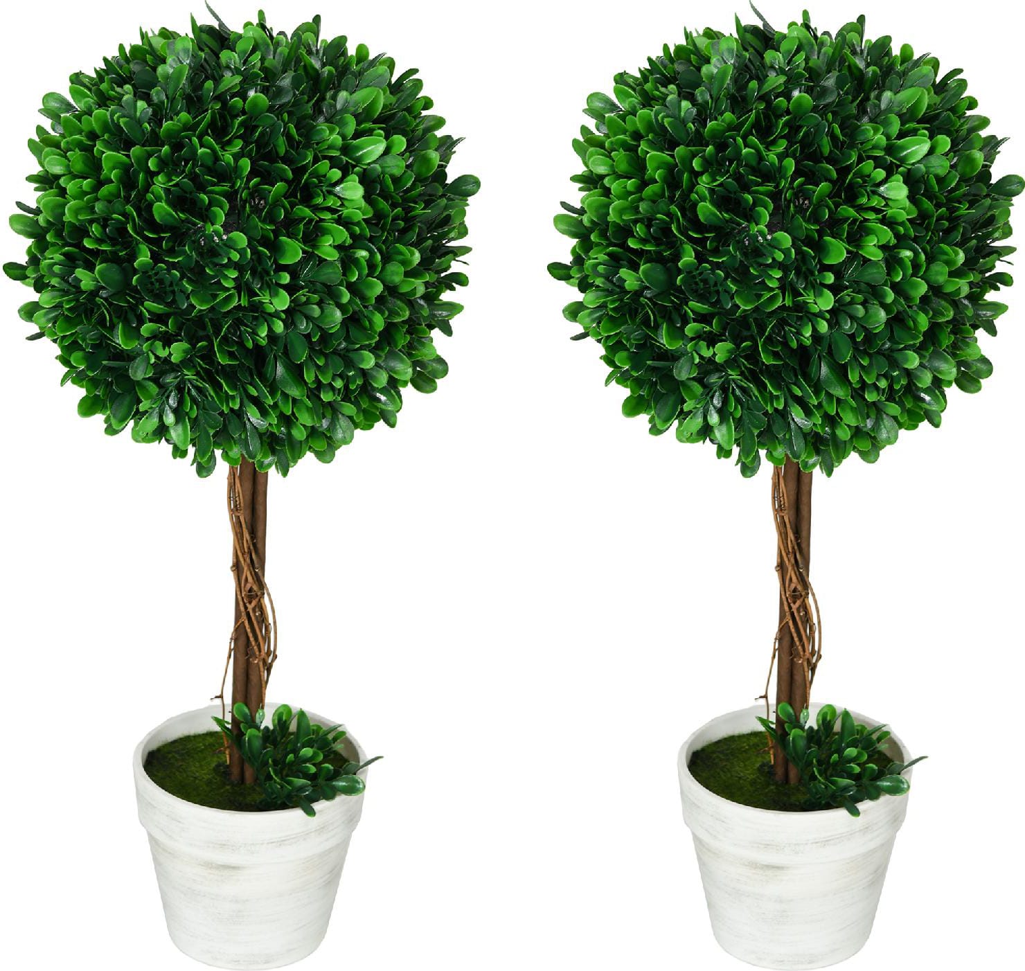 VivaGarden A2520GNAO12 Set 2 Piante Finte Alberi di Bosso con Vaso �28x60 cm