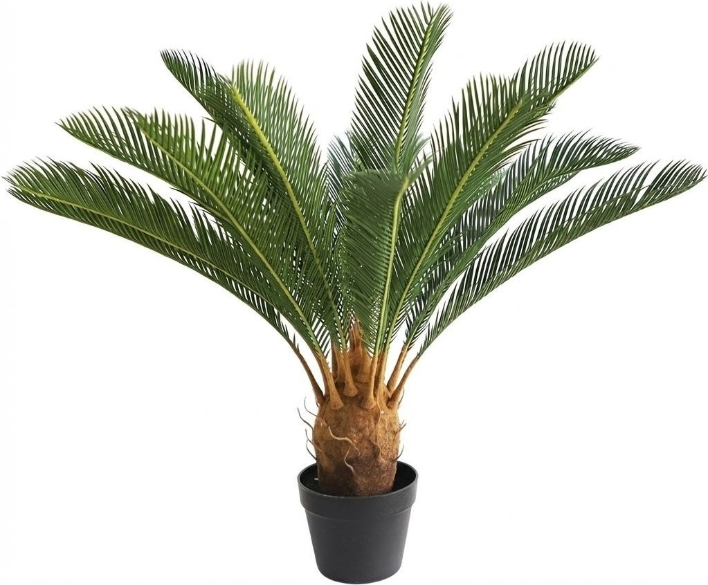 VivaGarden AC04085 Cycas Pianta Ornamentale Artificiale 85 cm