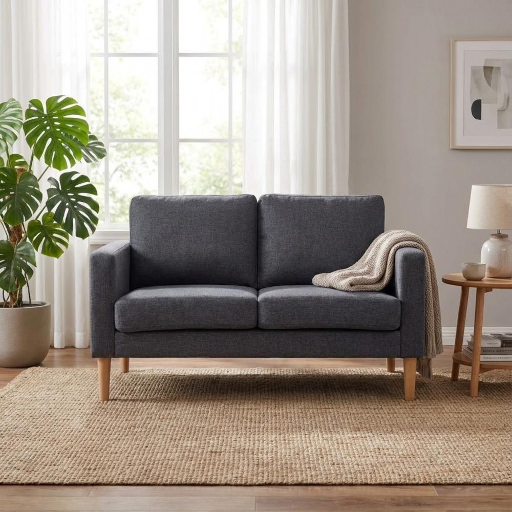 DecHome HF807145-DGRE Divano 2 Posti Stile Scandinavo 124x73x82 cm Grigio Scuro Santa Fe