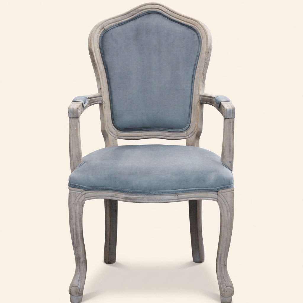 DecHome HF807230 Poltrona Classica in Velluto 55x51x100 Grigio Coritiba