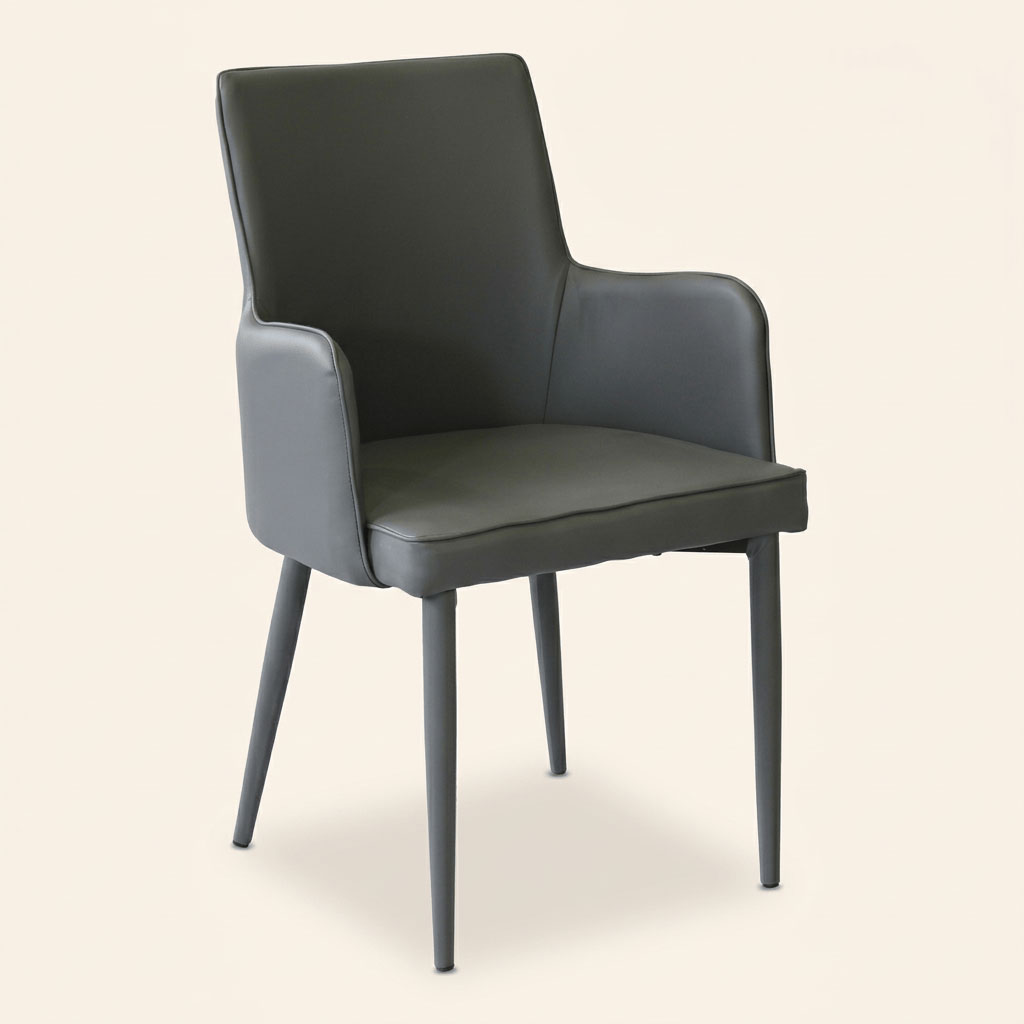 DecHome HF807307-DGRE Poltrona Moderna in Ecopelle 45x49,5x87,5 Grigio Scuro Camille