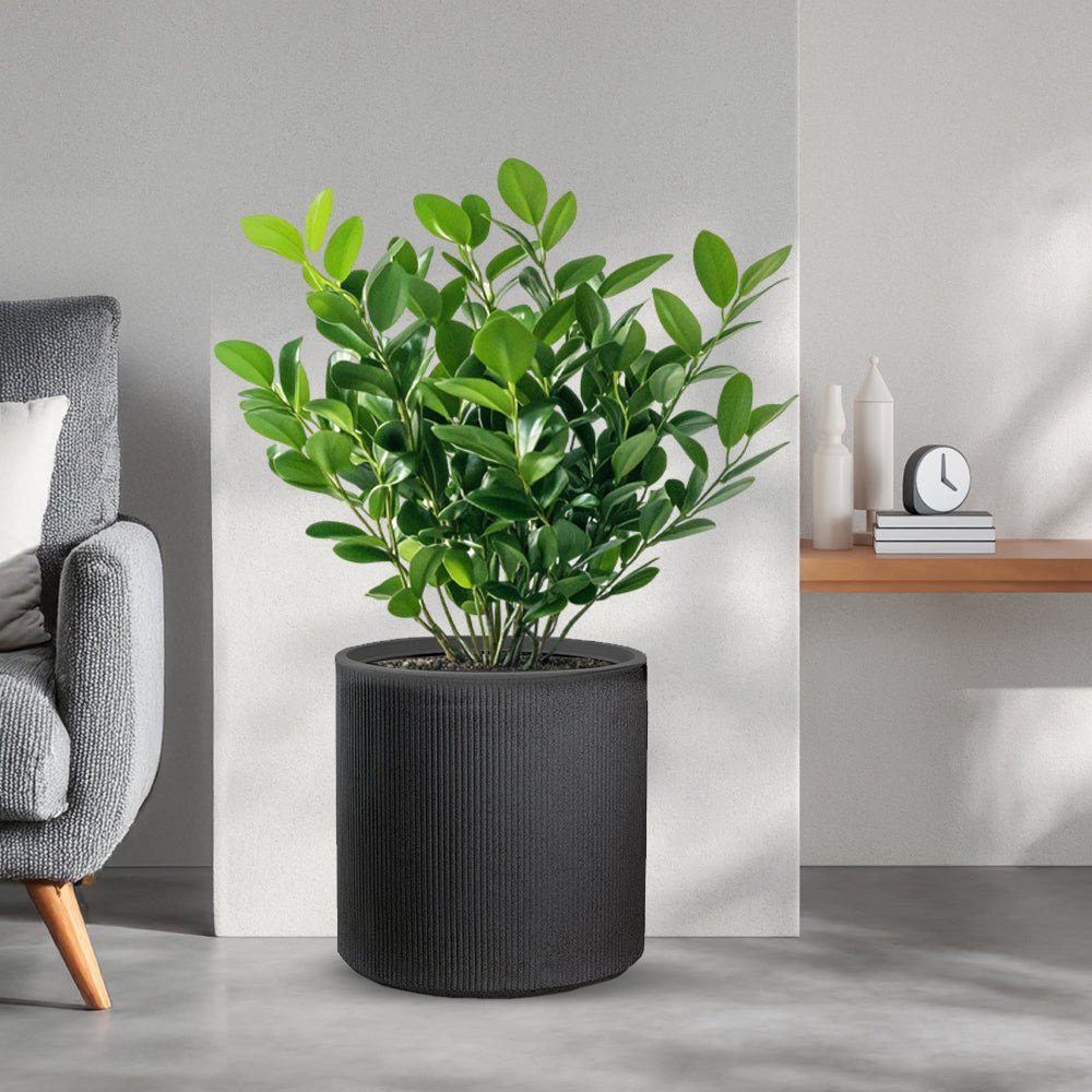 Divina Garden DGMODI36G Vaso in Resina da Esterno Interno � 36x35h cm Grigio Modigliani