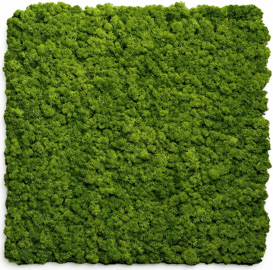 Divina Home DH104800 Set 2 pz Pannello Decorativo 60x60 cm Effetto Muschio