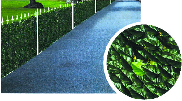 Il Campo MZ8018 1X3M Siepe Lauro h 100 M 3 00029