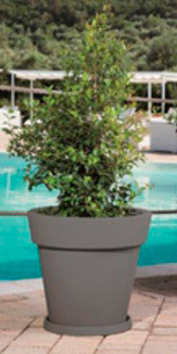 Monacis V1327 Vaso Plastica Giardino esterno dimensioni �50 x 45 h Grigio  Gemma