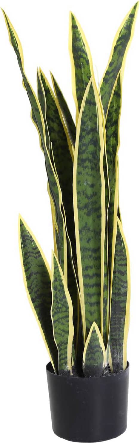 VivaGarden 844D67 Sanseveria Artificiale Pianta con Vaso �15cmx80cm
