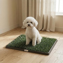 AllMyPets 0BKV578 Tappetino per Cani con Vassoio ed Erba Artificiale 63 x 505 cm Verde