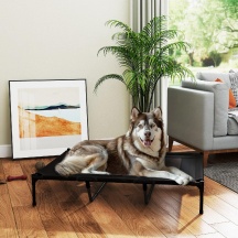 AllMyPets K6650BK Brandina per Cani Grandi Rialzata in Metallo e Tessuto 122x92x23 Nero
