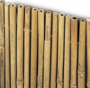 Brixo MASTERBAMBU200300 Arella 2x3mt stuoia con cannette di bambu per copertura e recinzioni RIVER