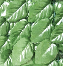 Confine SIEPE LAURO MT. 1,5X3 Siepe Artificiale Finta Arella Sempreverde Sintetica mt. 1,5x3 Lauro
