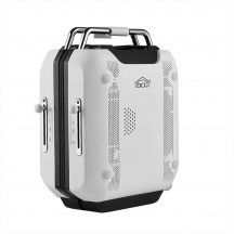 DCG ST3450 Bistecchiera con Piastra a Induzione Integrata 2150 Watt