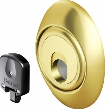 DISEC 3G2ST-25D1A2 Defender Magnetico per Serrature in Pvd Ottone