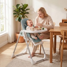 DecHome 0GNV509 Seggiolone Pappa Evolutivo 6-36 Mesi Doppio Vassoio Lavabile Ruote Verde
