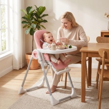 DecHome 0PKV508 Seggiolone Pappa Evolutivo 6-36 Mesi Doppio Vassoio Lavabile Ruote Rosa