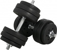 DecHome 139A Set di 2 Manubri Pesi da 30kg Totali con 16 Dischi in Acciaio e Plastica