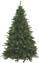 DecHome 743583 Albero di Natale Courmayeur h.210 cm 1534 Rami 743538
