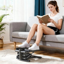 DecHome BKZ529 Stepper Twister con Monitor LCD e Pedali Antiscivolo Capacit� 100kg Nero