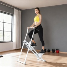 DecHome WTZ530 Stepper Vertical Climber Pieghevole Pedali Antiscivolo e Monitor Bianco