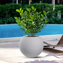 Divina Garden DGMBOTTI40B Vaso in Resina da Esterno Interno � 40x33h cm Beige Botticelli