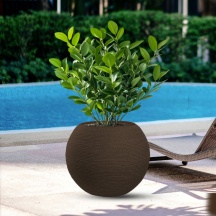 Divina Garden DGMBOTTI40M Vaso in Resina da Esterno Interno � 40x33h cm Marrone Botticelli