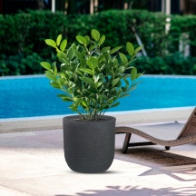 Divina Garden DGRAFF35G Vaso in Resina da Esterno Interno � 35x34h cm Grigio Raffaello