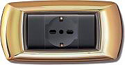 ELETTROCANALI ECL2984 OR Placca Placchetta Elettrica Copri Interruttore 4P Oro