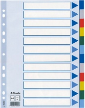 Esselte 15262 Confezione 10 Intercalare PPL 12 T.Colors A5