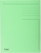 Exacompta 449013E Confezione 50 Foldyne 300 colore Verde