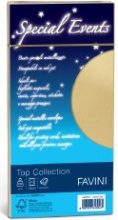 Favini A57U154 Special Events Top Collection Busta Dl (110 X 220 mm) Argento 10 Pz