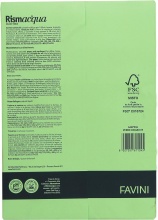 Favini A66P304 Risma Carta 300 Fogli Verde Rismacqua