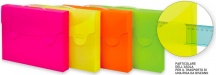 Favorit 400111894 Valigetta Neon 52x37 D5 Pp Ass