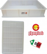 Giganplast 003592 Cassetta Service Forata cm 60x40x13h Articolo 1880hd2
