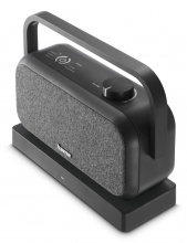 Hama 00221849 Altoparlanti Wireless Bluetooth USB-C Nero Grigio