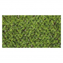 LIF MZ192033F Siepe Artificiale da Balcone Giardino a Pannello 1x2 mt
