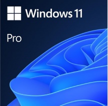 Microsoft FQC-10538 Windows 11 Pro 1 LicenzaE