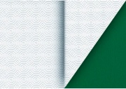 NBrand MOLLETTONE BV Tovagliato In Pvc Mollettone Bianco  Verde cm 140 H X 20 Mt BV