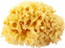 Okbaby Arcipelago Spugna per Bambino Giallo