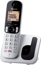 Panasonic TGC250JTS Telefono Cordless con Base Ricarica e Blocco chiamate Grigio