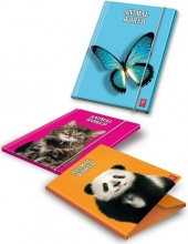 Pigna 02137333L File Folder 6 Pcs Carta Giallo 260 X 345 mm