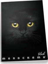 Pigna 02303374M Blocco Quaderno Monocromo A4 19 fogli 10 pezzi