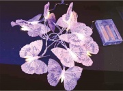 PreQu D2685 Catena Luminosa A Batteria 10 Farfalle Rosa Luce Calda
