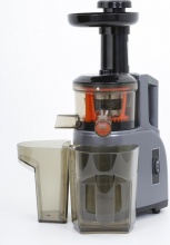 R.G.V. GREENJUICE Estrattore di Succo 150 watt Capacit� succo 1 litro Grigio