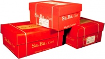 Sa.Ba.Cart S01240126000 Carta a Modulo Continuo 2000 fogli 240 x 305mm 60 gm�
