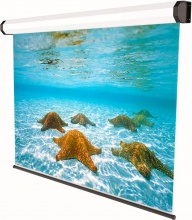 Sopar 5201 Schermo per proiettore 2.49 m 98" 4:3