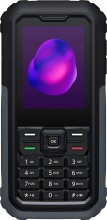 TCL CE72956 3189 6,1 cm 2.4" Nero, Grigio Telefono con fotocamera