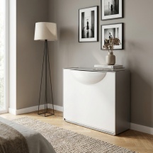 TERRY 1002610 Scarpiera Salvaspazio Slim Modulare 1 Anta Plastica 51x19x39 cm Bianco