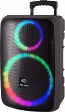 TREVI XF1250 Cassa Bluetooth Sistema PA Indipendente Potenza 90 Watt