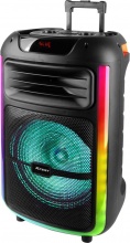 TREVI XF 1400 KB Cassa Bluetooth Altoparlante Wireless 100W USB MP3 MicroSD Nero