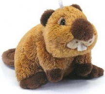 TRUDI 68989 Sweet Collection Castoro Peluche Taglia XXS per Bambini da 0+ Anni